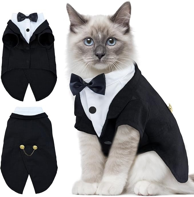 Trang phục tuxedo cho mèo