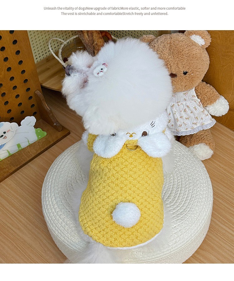 Quần áo cho thú cưng – Hoạt hình